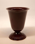 Tulip Cup